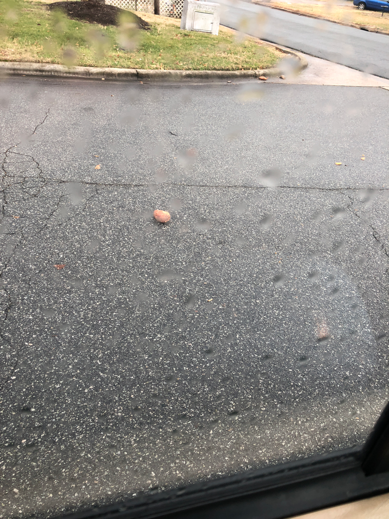 Just a lonely, solitary sweet potato.